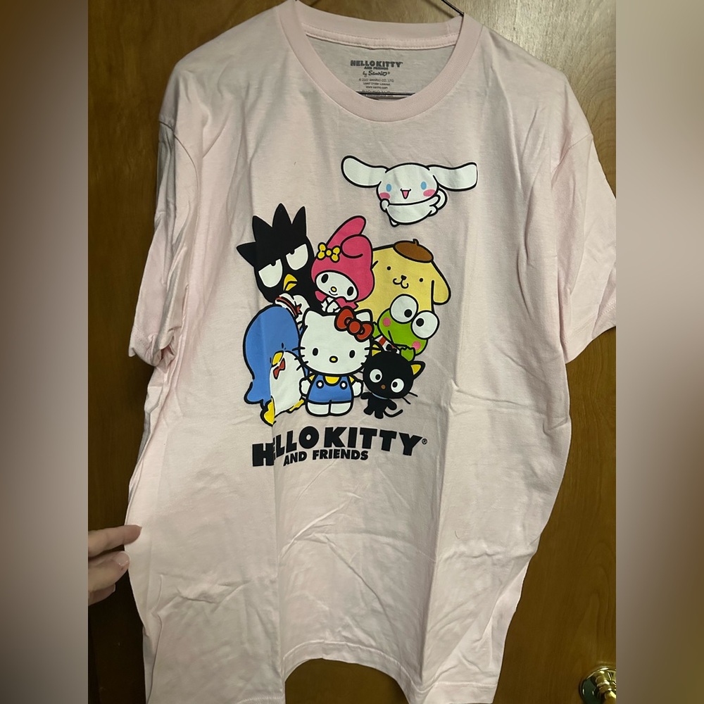 Bioworld Hello Kitty and Friends Light Pink T-Shirt NWOT - Picture 1 of 4